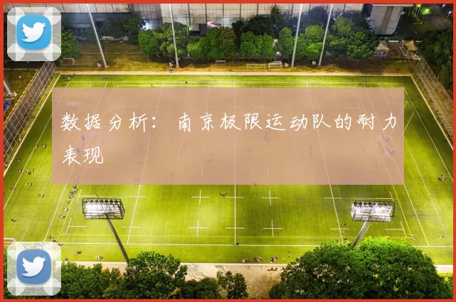 数据分析：南京极限运动队的耐力表现
