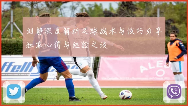 刘静深度解析足球战术与技巧分享独家心得与经验之谈
