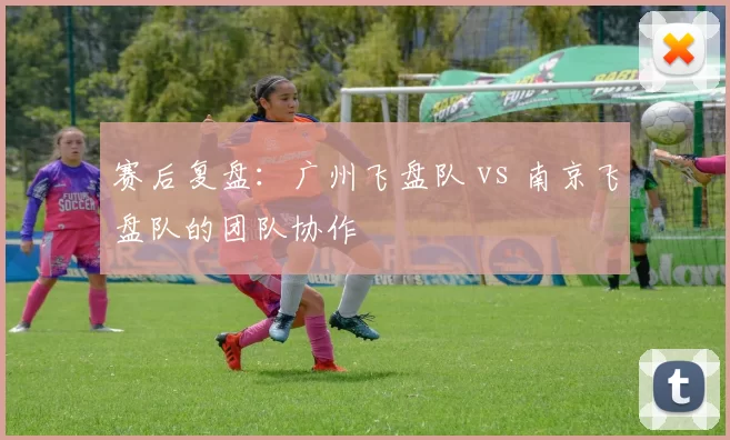 赛后复盘：广州飞盘队 vs 南京飞盘队的团队协作