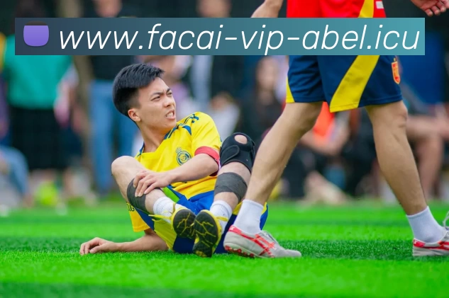 MK体育服务体系