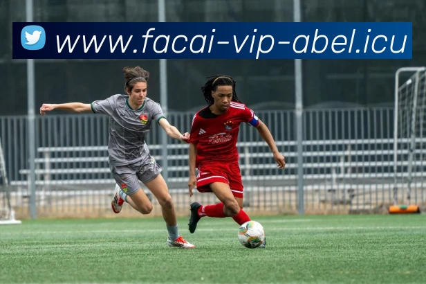 MK体育APP 体育赛事宣传图